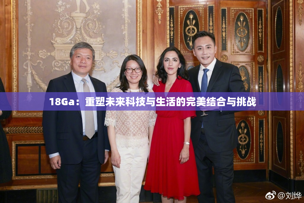 18Ga：重塑未来科技与生活的完美结合与挑战