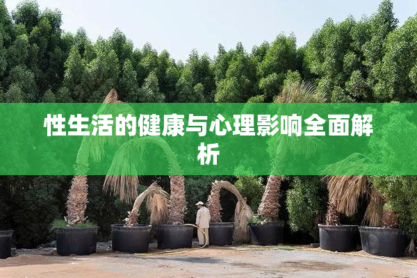 性生活的健康与心理影响全面解析