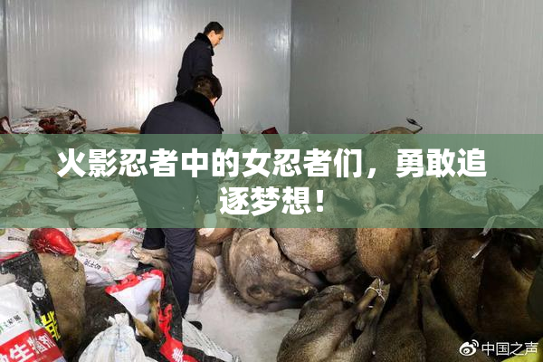 火影忍者中的女忍者们，勇敢追逐梦想！