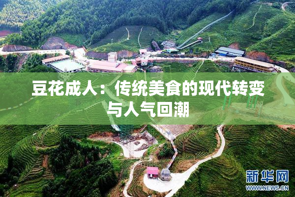 豆花成人：传统美食的现代转变与人气回潮