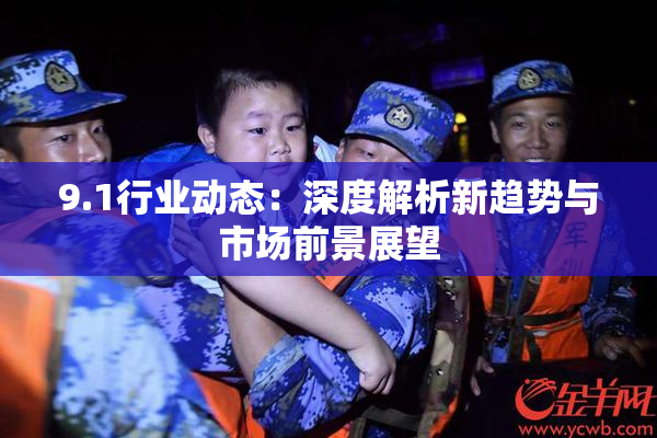 9.1行业动态：深度解析新趋势与市场前景展望