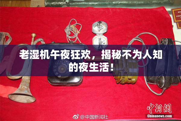 老湿机午夜狂欢，揭秘不为人知的夜生活！