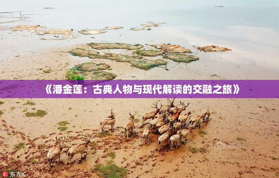 《潘金莲：古典人物与现代解读的交融之旅》