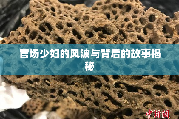 官场少妇的风波与背后的故事揭秘