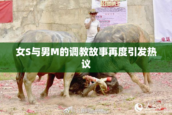 女S与男M的调教故事再度引发热议