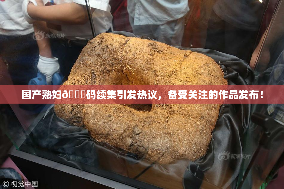 国产熟妇🈚码续集引发热议，备受关注的作品发布！