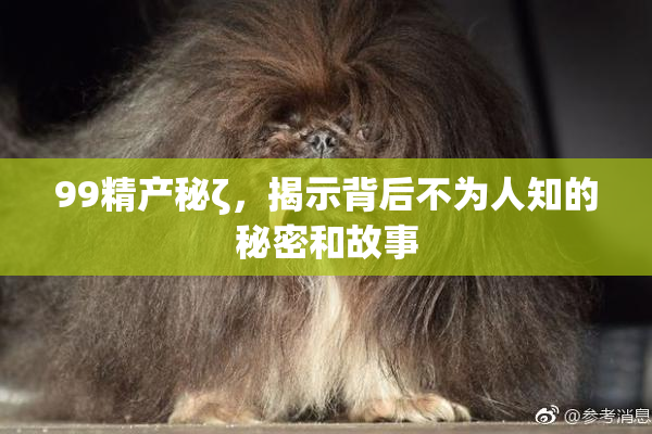 99精产秘ζ，揭示背后不为人知的秘密和故事