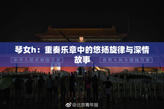 琴女h：重奏乐章中的悠扬旋律与深情故事