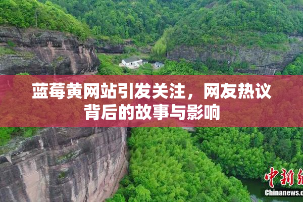 蓝莓黄网站引发关注，网友热议背后的故事与影响