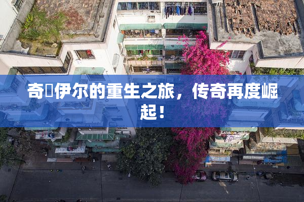 奇犽伊尔的重生之旅，传奇再度崛起！