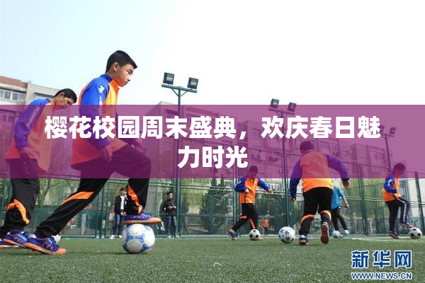 樱花校园周末盛典，欢庆春日魅力时光