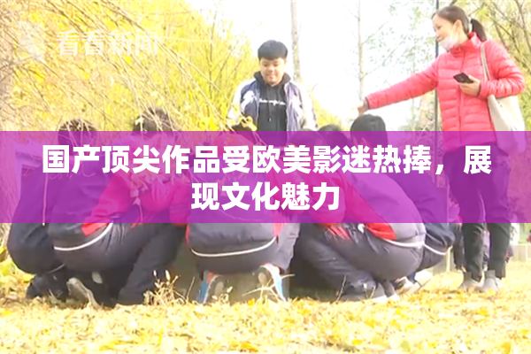 国产顶尖作品受欧美影迷热捧，展现文化魅力