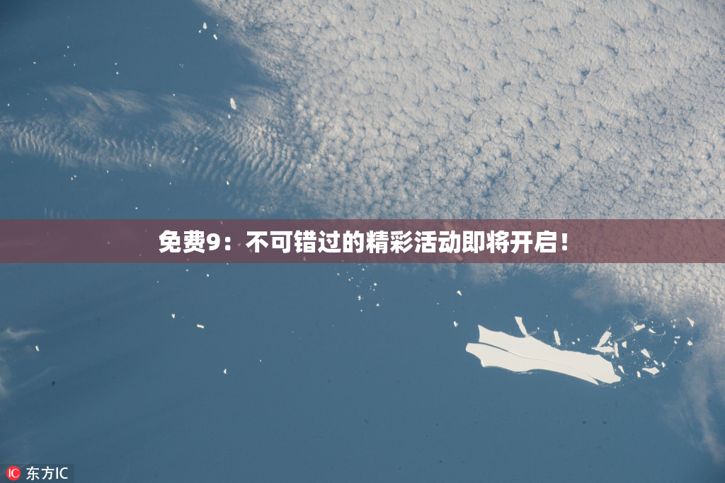 免费9：不可错过的精彩活动即将开启！