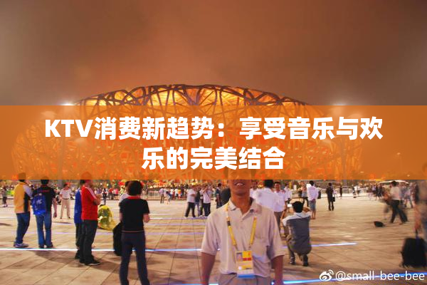 KTV消费新趋势：享受音乐与欢乐的完美结合