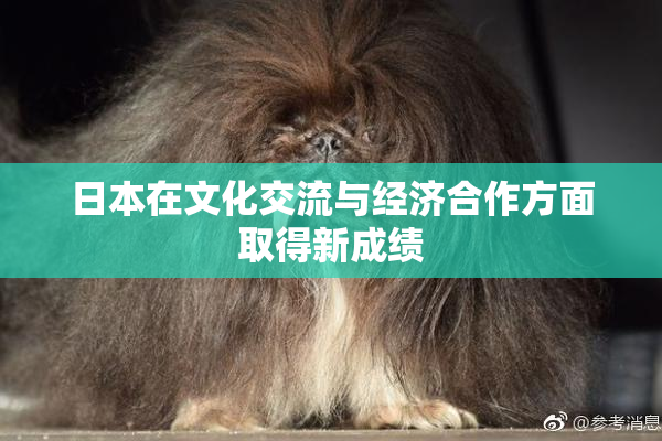 日本在文化交流与经济合作方面取得新成绩