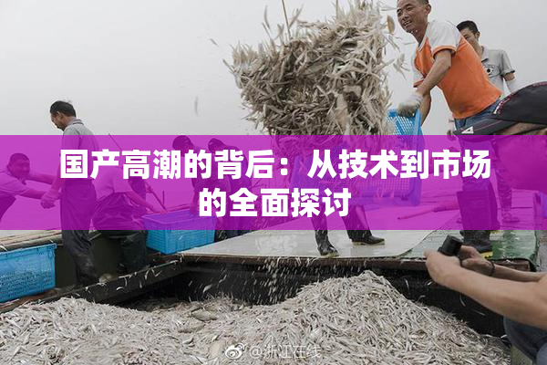 国产高潮的背后：从技术到市场的全面探讨