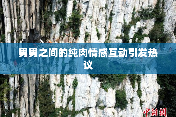 男男之间的纯肉情感互动引发热议