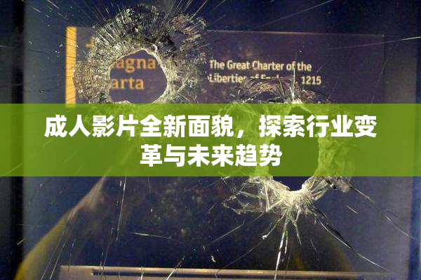 成人影片全新面貌，探索行业变革与未来趋势