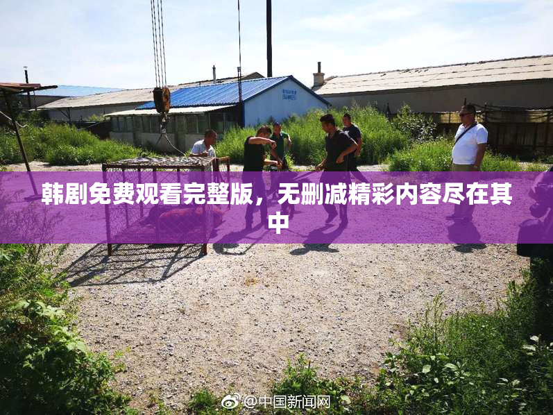 韩剧免费观看完整版，无删减精彩内容尽在其中