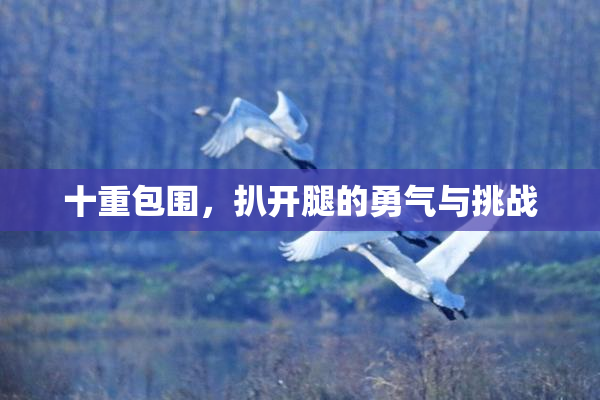 十重包围，扒开腿的勇气与挑战