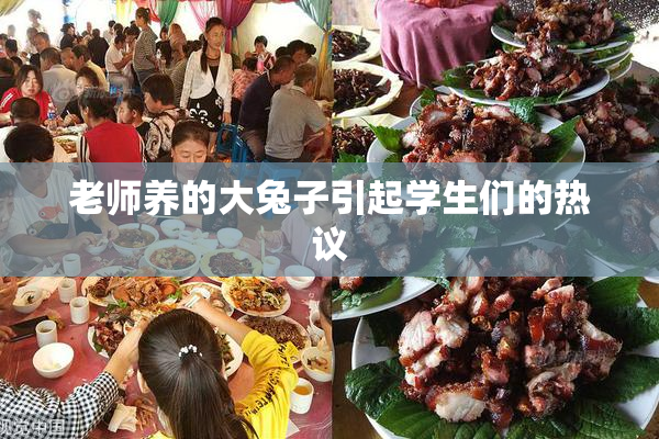 老师养的大兔子引起学生们的热议