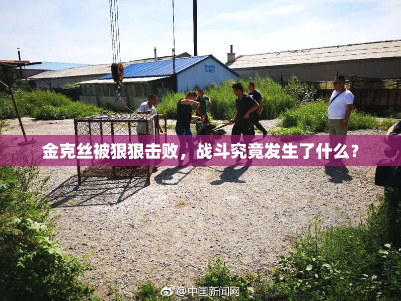 金克丝被狠狠击败，战斗究竟发生了什么？