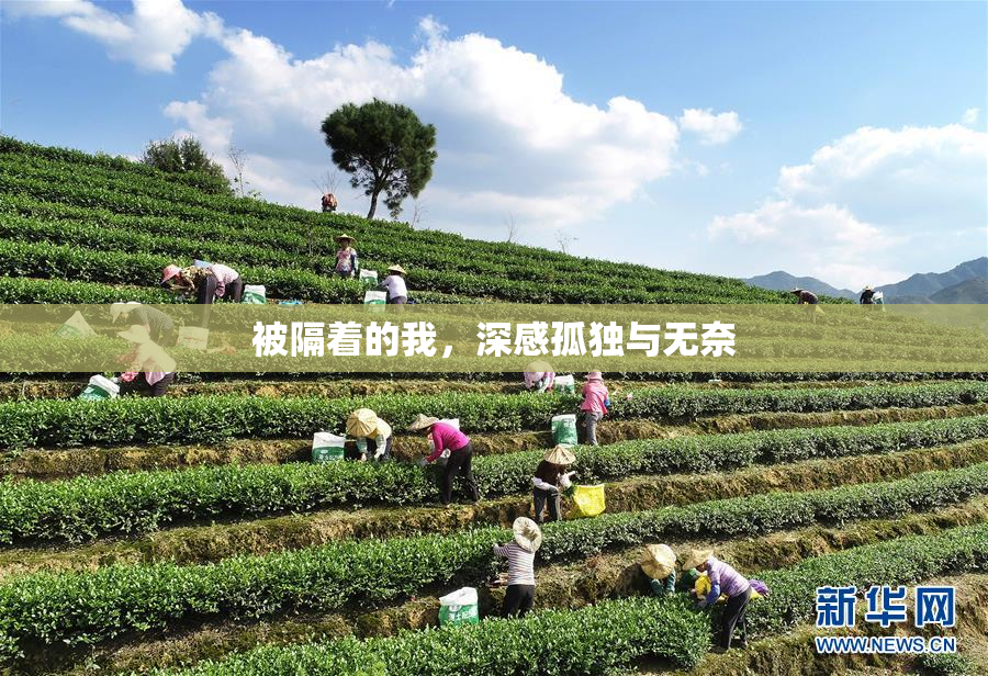 被隔着的我，深感孤独与无奈