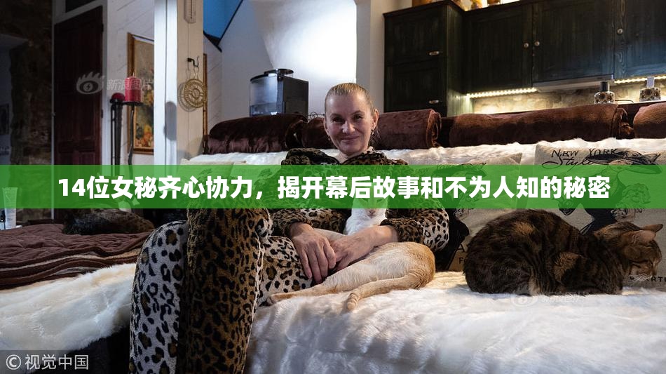 14位女秘齐心协力，揭开幕后故事和不为人知的秘密