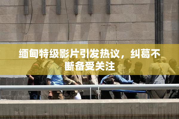 缅甸特级影片引发热议，纠葛不断备受关注