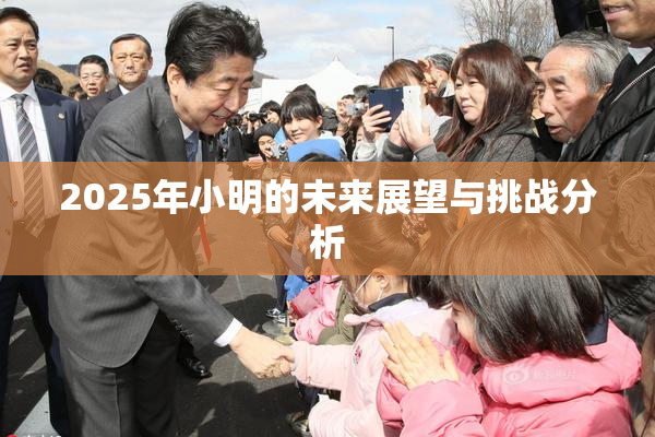 2025年小明的未来展望与挑战分析