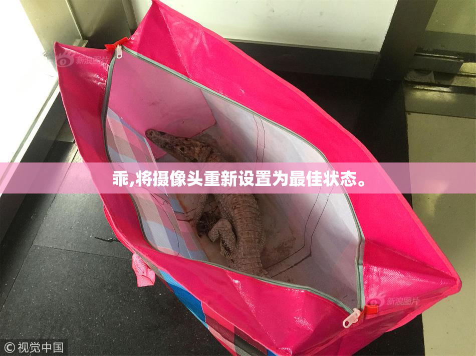 乖,将摄像头重新设置为最佳状态。