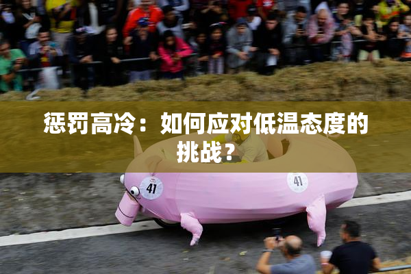 惩罚高冷：如何应对低温态度的挑战？