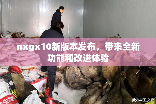 nxgx10新版本发布，带来全新功能和改进体验