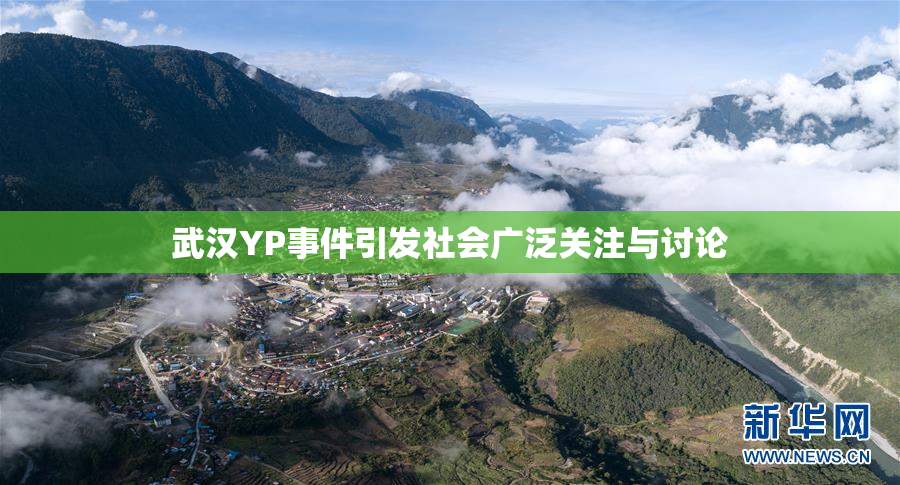 武汉YP事件引发社会广泛关注与讨论