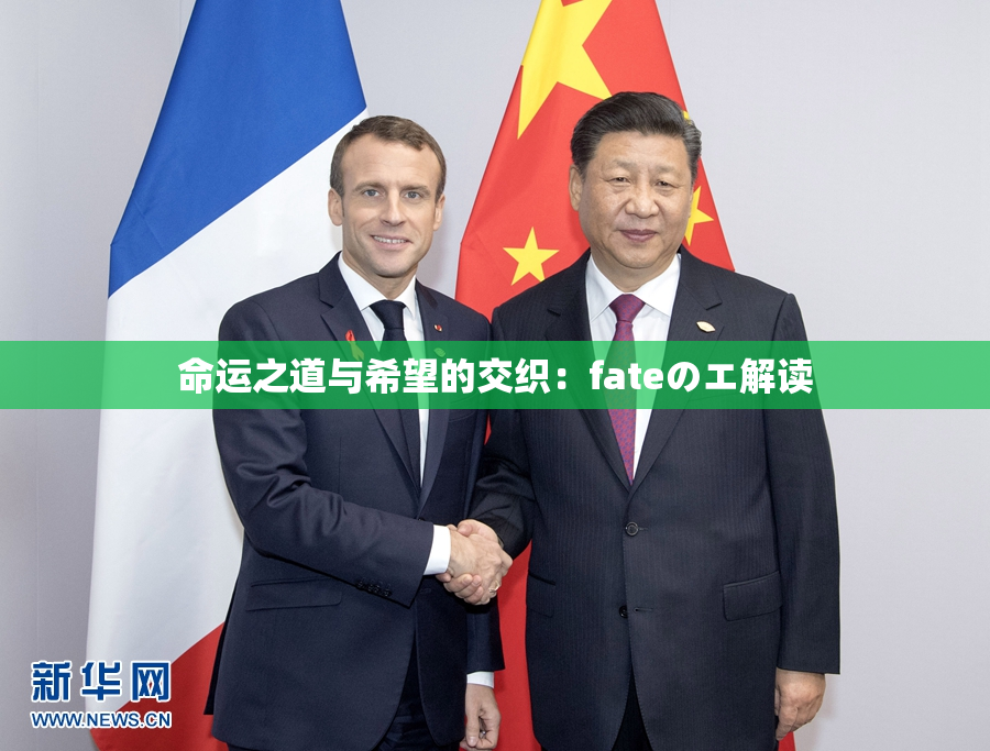 命运之道与希望的交织：fateのエ解读