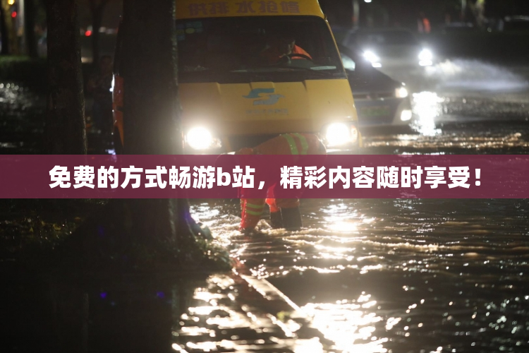 免费的方式畅游b站，精彩内容随时享受！
