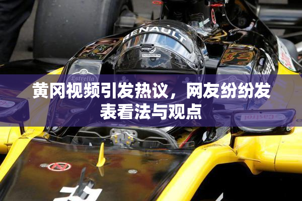 黄冈视频引发热议，网友纷纷发表看法与观点
