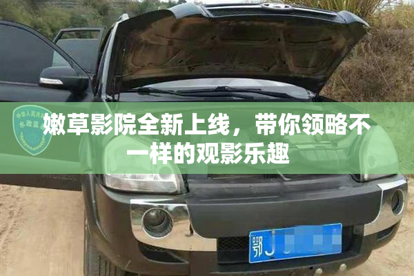 嫩草影院全新上线，带你领略不一样的观影乐趣