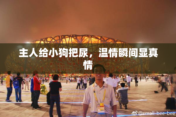 主人给小狗把尿，温情瞬间显真情