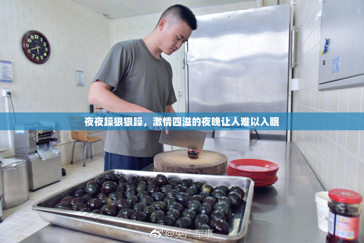 夜夜躁狠狠躁，激情四溢的夜晚让人难以入眠