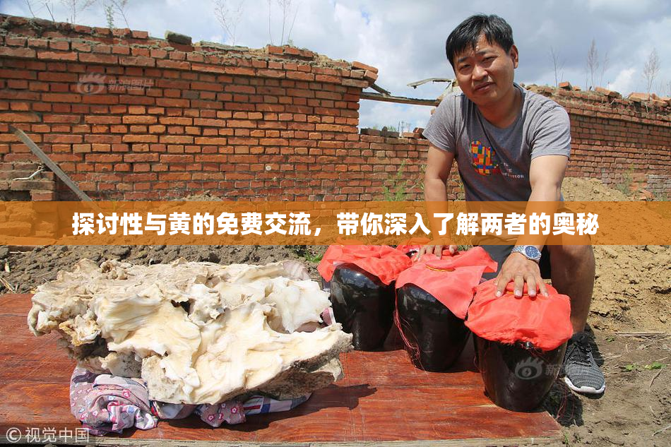 探讨性与黄的免费交流，带你深入了解两者的奥秘