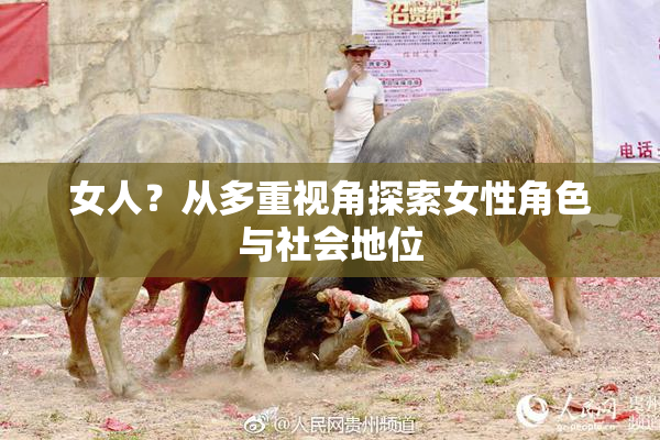 女人？从多重视角探索女性角色与社会地位