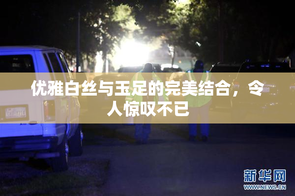 优雅白丝与玉足的完美结合，令人惊叹不已