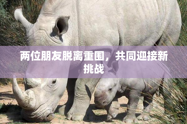 两位朋友脱离重围，共同迎接新挑战