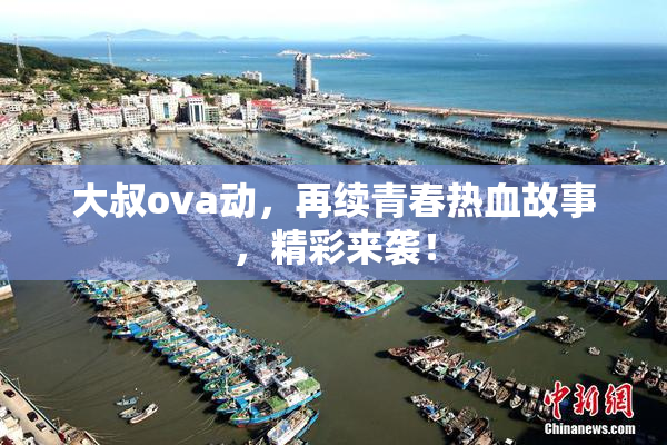 大叔ova动，再续青春热血故事，精彩来袭！