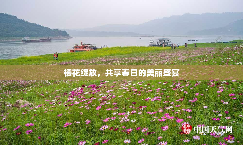 樱花绽放，共享春日的美丽盛宴