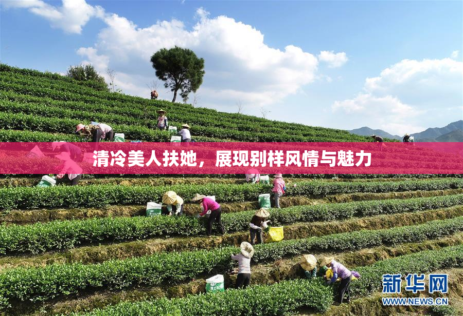 清冷美人扶她，展现别样风情与魅力