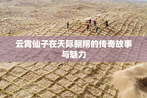 云霄仙子在天际翱翔的传奇故事与魅力