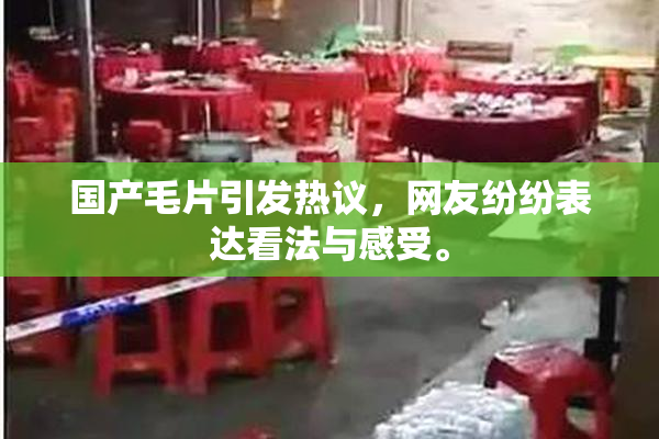 国产毛片引发热议，网友纷纷表达看法与感受。