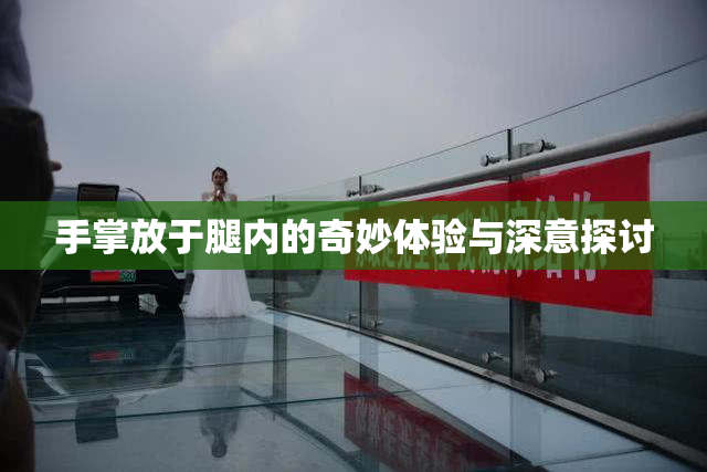 手掌放于腿内的奇妙体验与深意探讨